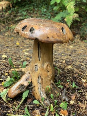 Large Root Toadstool at The Sculpture Park