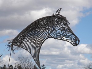 Black Horse Head by William Thomson