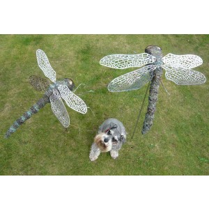 Dragonflies by Jack Russell at The Sculpture Park