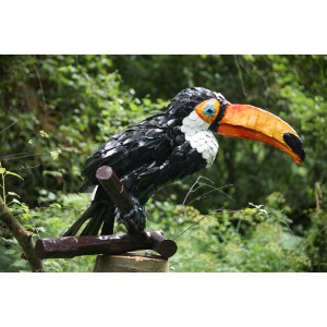 Toucan by Alison Catchlove