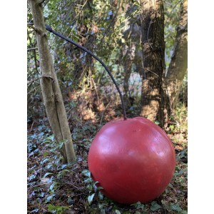 Cherry by Dick Budden at The Sculpture Park