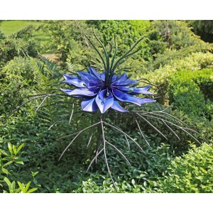 Nigela, Love in a Mist by Clare Robertson (Missfire) at The Sculpture Park