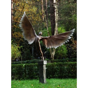 Icarus I by Nicola Godden MRSS