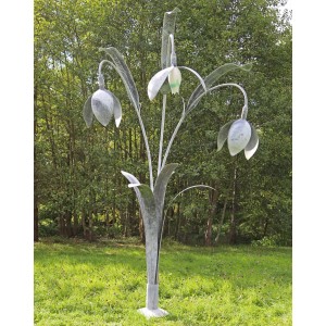 Snowdrops by Jenny Pickford at The Sculpture Park