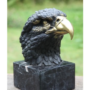 American Eagle by John Cox
