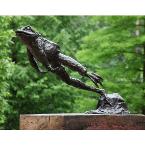 Leaping Frog by John Cox