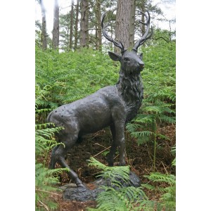 John Cox, Standing Stag, Bronze, Signed and Numbered from 50, The Sculpture Park