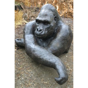 Gorilla by Lucy Kinsella