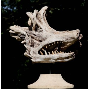 Driftwood Monster by Martin Scorey