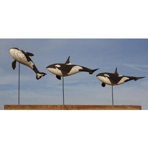 Orcas by Martin Scorey
