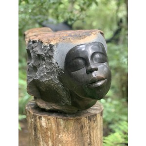 Raw Beauty by Vengai Chiwawa at The Sculpture Park