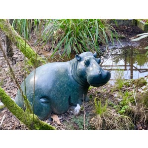 Relaxing Hippo by Timothy Rukodzi