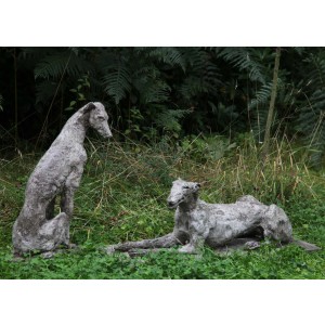 Greyhounds by Rosie Sturgiss