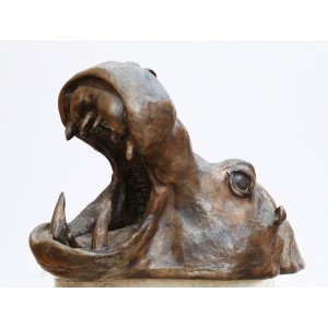 Hippopotamus Head by Rupert Merton
