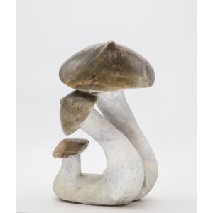 Mushrooms by Simon Chidharara