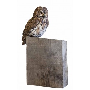 Owl on Wooden Block by Simon Griffith 
