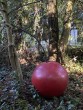 Cherry by Dick Budden at The Sculpture Park