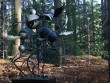 Flight of the Optimists by Noah Taylor, The Sculpture Park