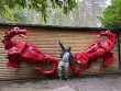 Welsh Dragons by J. Green at The Sculpture Park