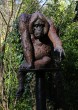 Old Man of the Forest (Male Orangutan) by Lucy Kinsella at the sculpture park