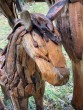 Driftwood Horse and Foal Sculpture at The Sculpture Park