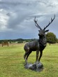 Standing Stag from The Sculpture Park at Four Seasons
