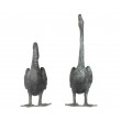 Pair of Swans by John Cox at The Sculpture Park