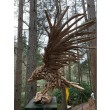 Flying Eagle by Anon, Unknown at The Sculpture Park