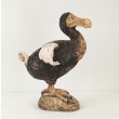 Dodo by Gail Dooley at the sculpture park