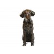 Labrador - Man Dog by Helen Harnett at The Sculpture Park