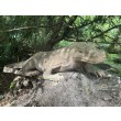 Komodo Dragon (medium) at The Sculpture Park