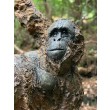 Orangutan by David Cooke at The Sculpture Park