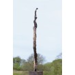 Tanya Russell, Stargazers, Bronze , 80cm high, 50cm wide, 16cm deep, The Sculpture Park
