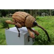 Nut Weevil by The Big Bug Tour at The Sculpture Park