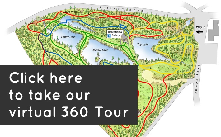 360 tour of The Sculpture Park