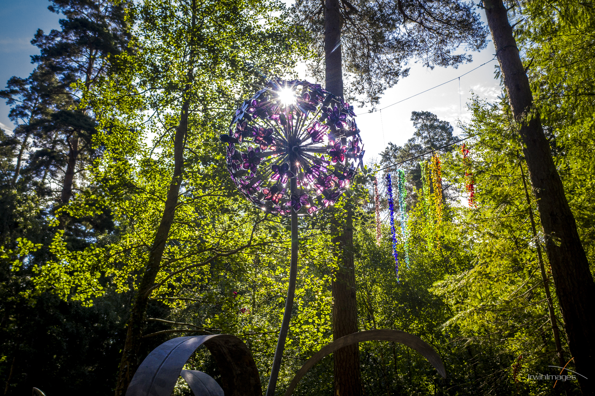 Allium by Jenny Pickford at The Sculpture Park