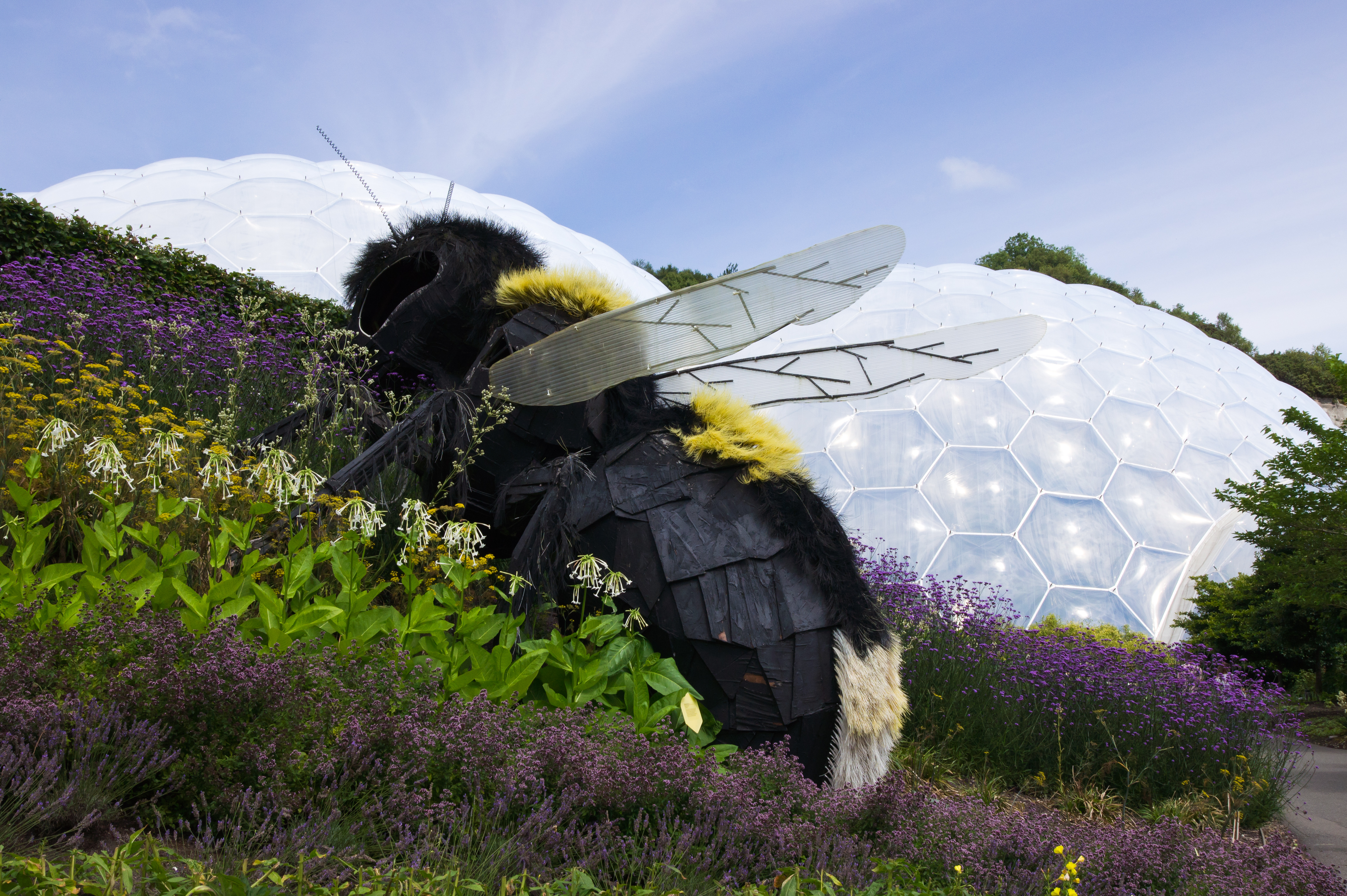 Bombus Bee by Robert Bradford, Eco Art 2019 1