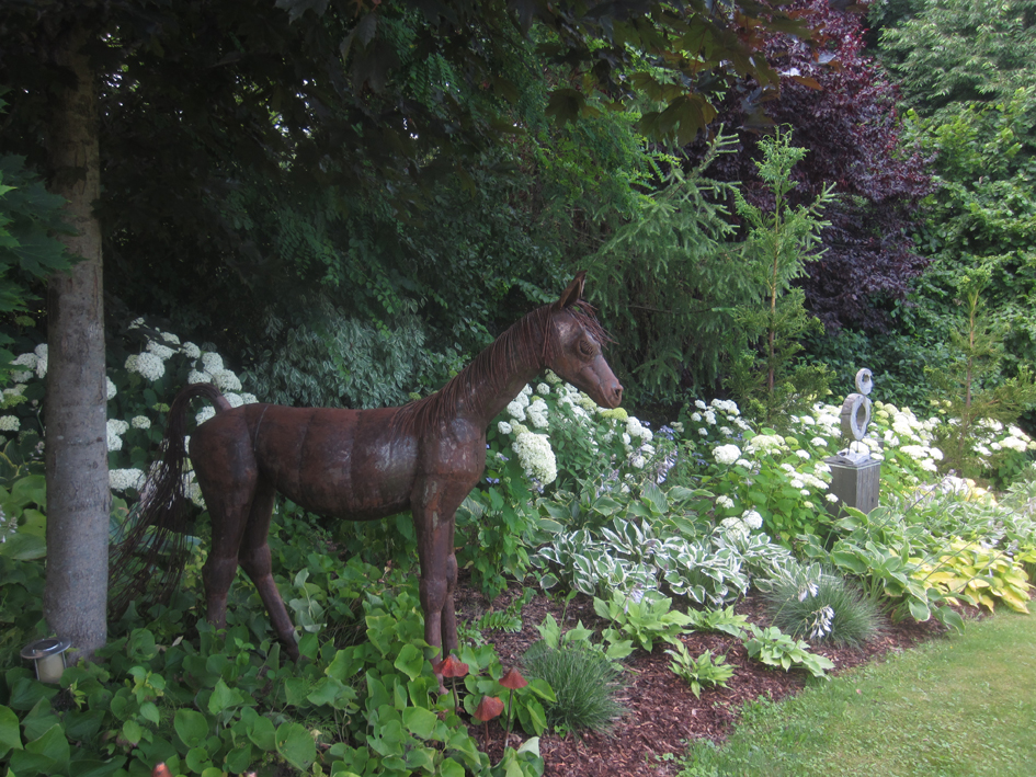 Pony in the flower beds