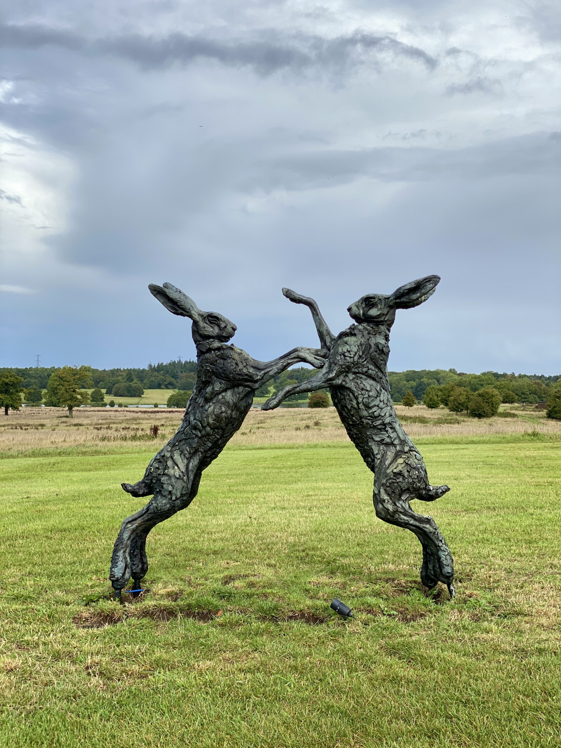 Monumental Boxing Hares from The Sculpture Park at Four Seasons Hotel