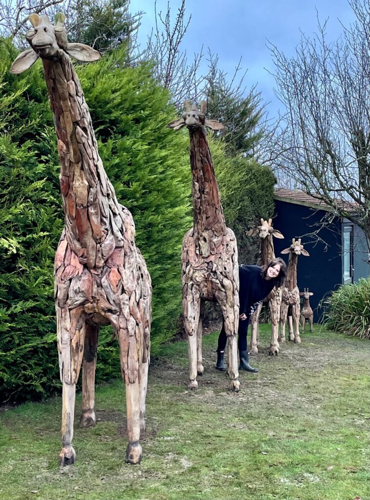 Driftwoor Giraffe family of 5 and new owner who decided to Buy a Sculpture from The Sculpture Park